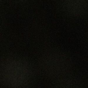 Meet your Posher, Cheyenne